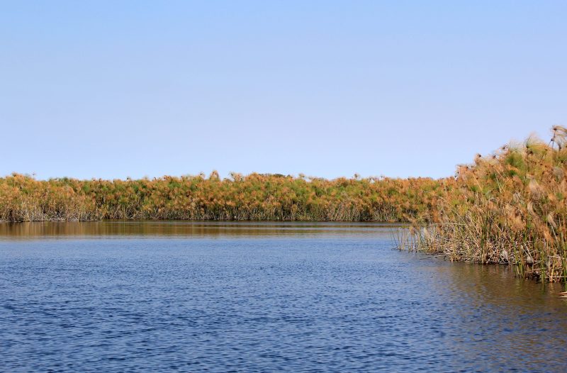 Okavango Delta in Botswana