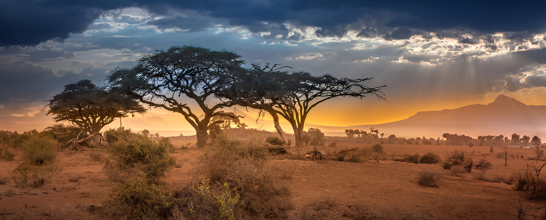 African safari journey with Hammerkop Wildlife Safaris