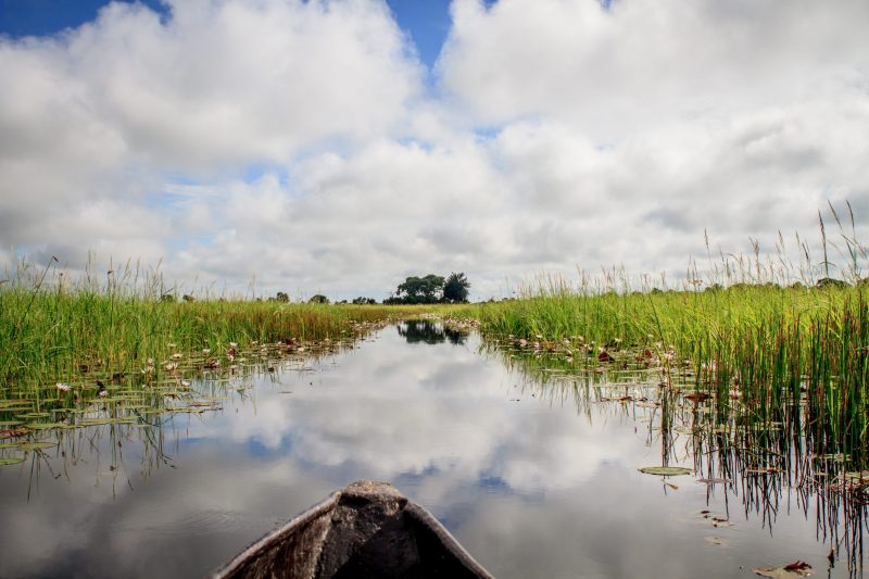 Okavango Delta in Botswana