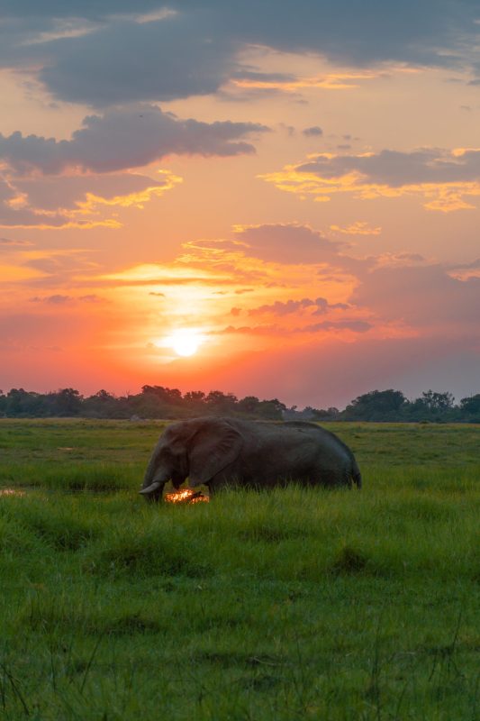 Remote safari camp surrounded by African wilderness