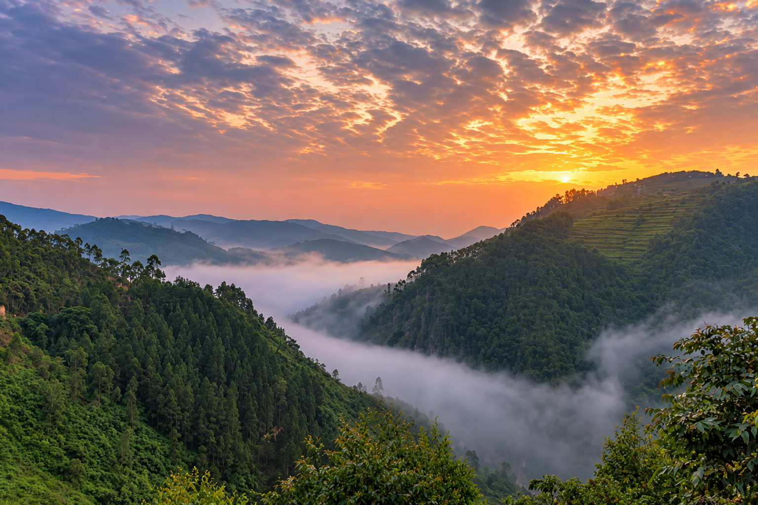 Misty mountain landscape in Uganda at sunrise