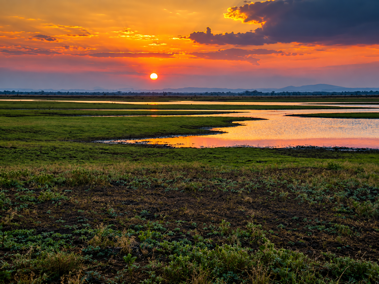 Gorongosa wilderness in Mozambique