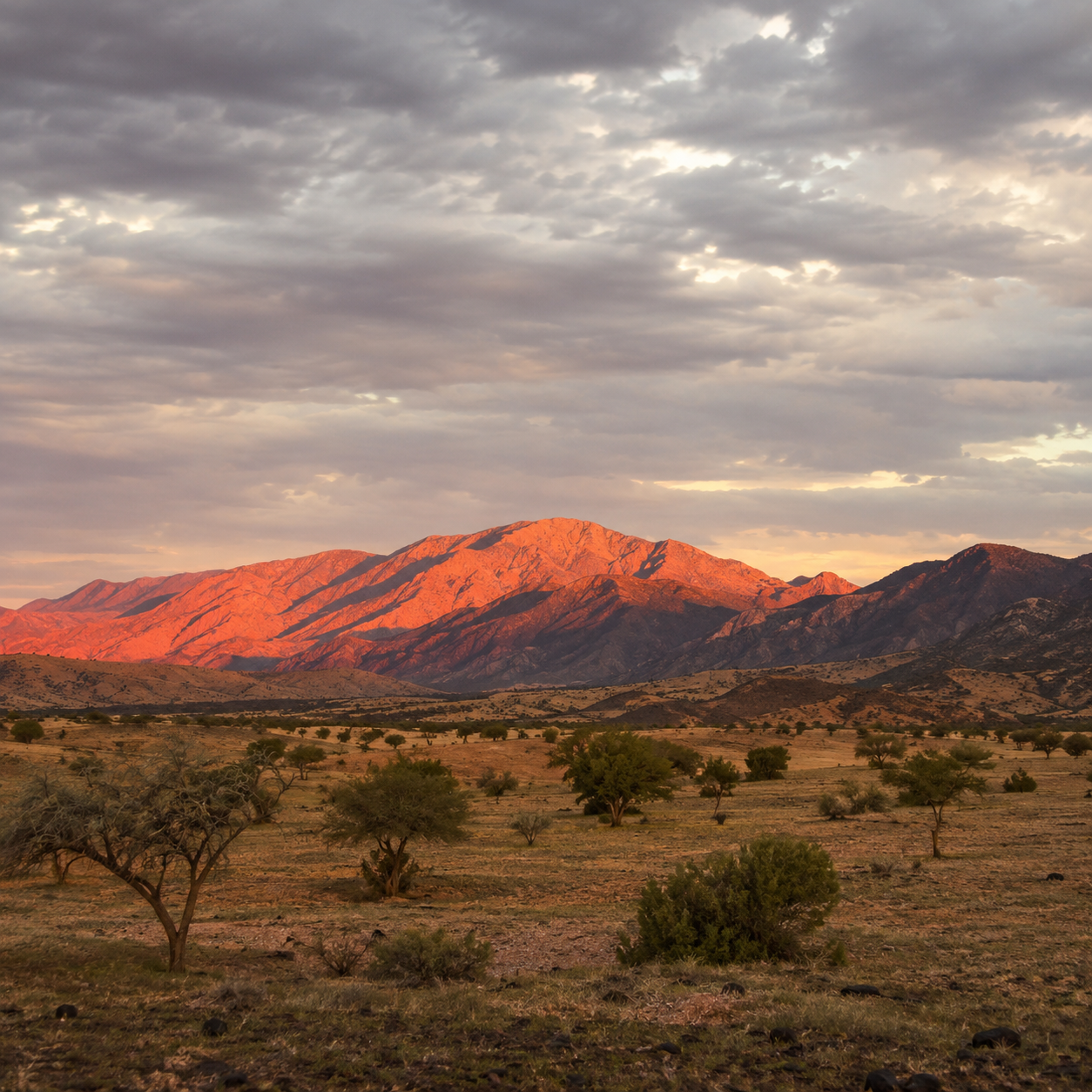 Remote desert wilderness landscape in Angola