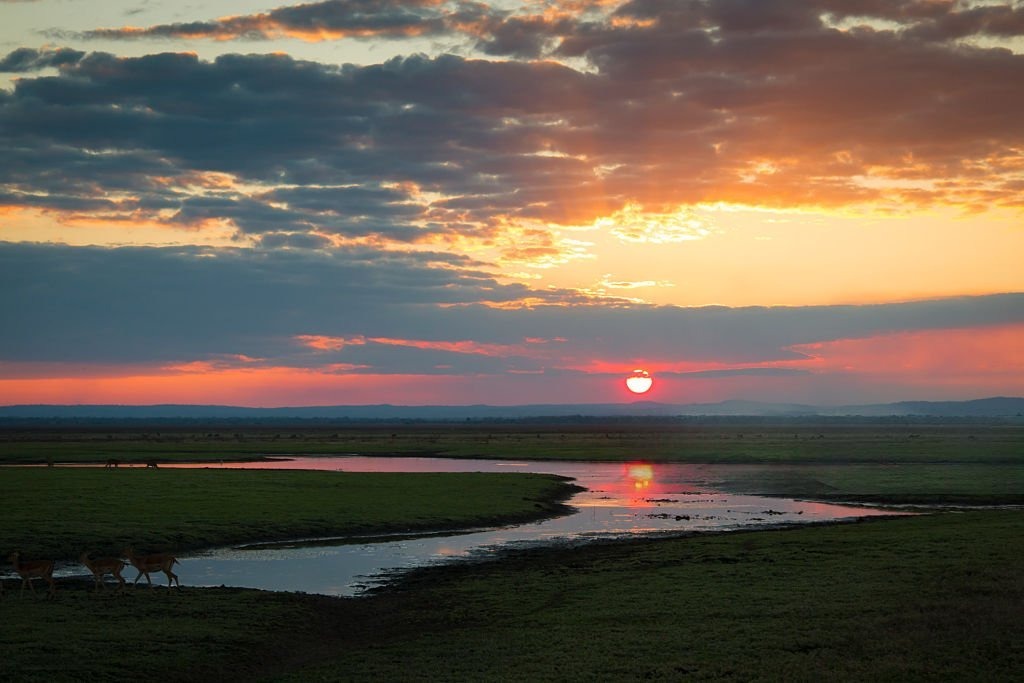 Wildlife landscape in Mozambique