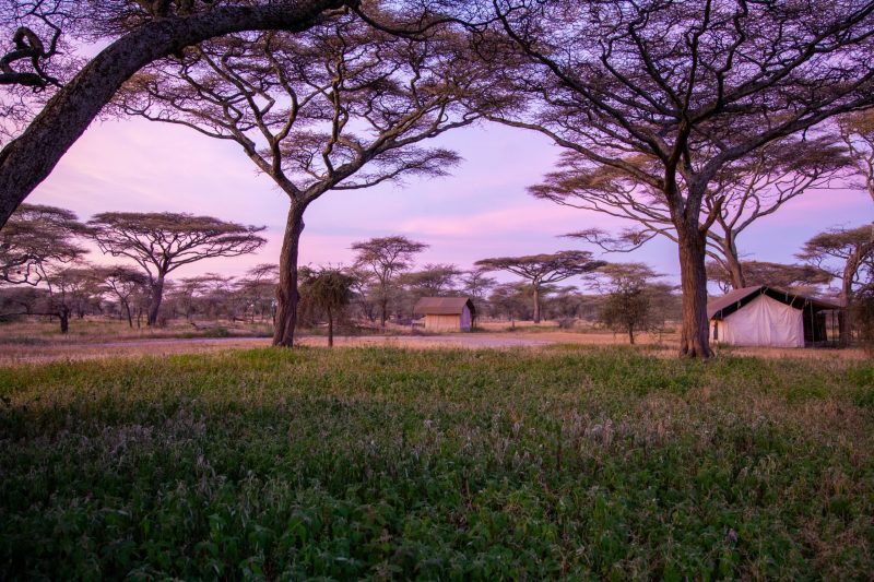 Mozambique safari and Indian Ocean journey