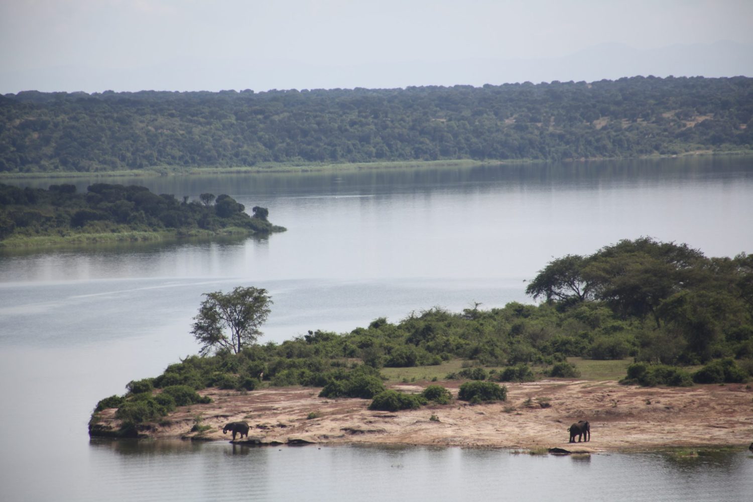 African wilderness landscape