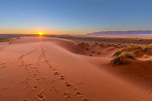 Central Kalahari wilderness landscape in Botswana