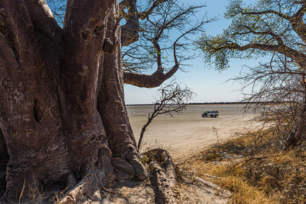 Makgadikgadi salt pans in Botswana