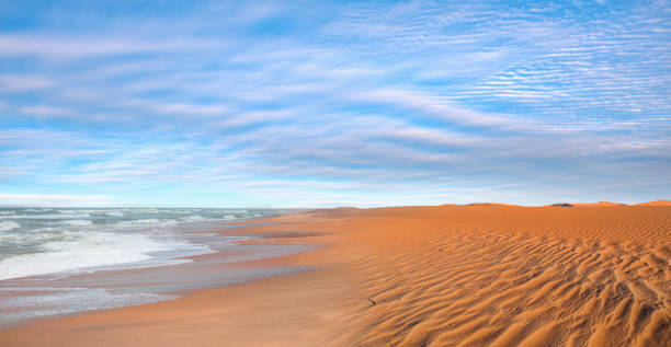 Desert meeting the Atlantic coast along Namibia's Skeleton Coast