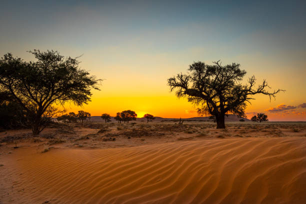 Namibia desert wilderness landscape
