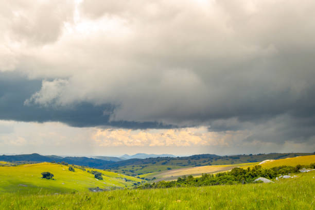 Nyika National Park, Malawi