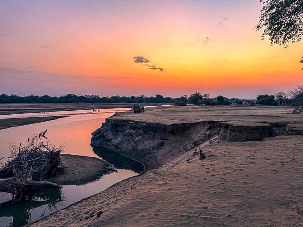 Walking safari in Zambia