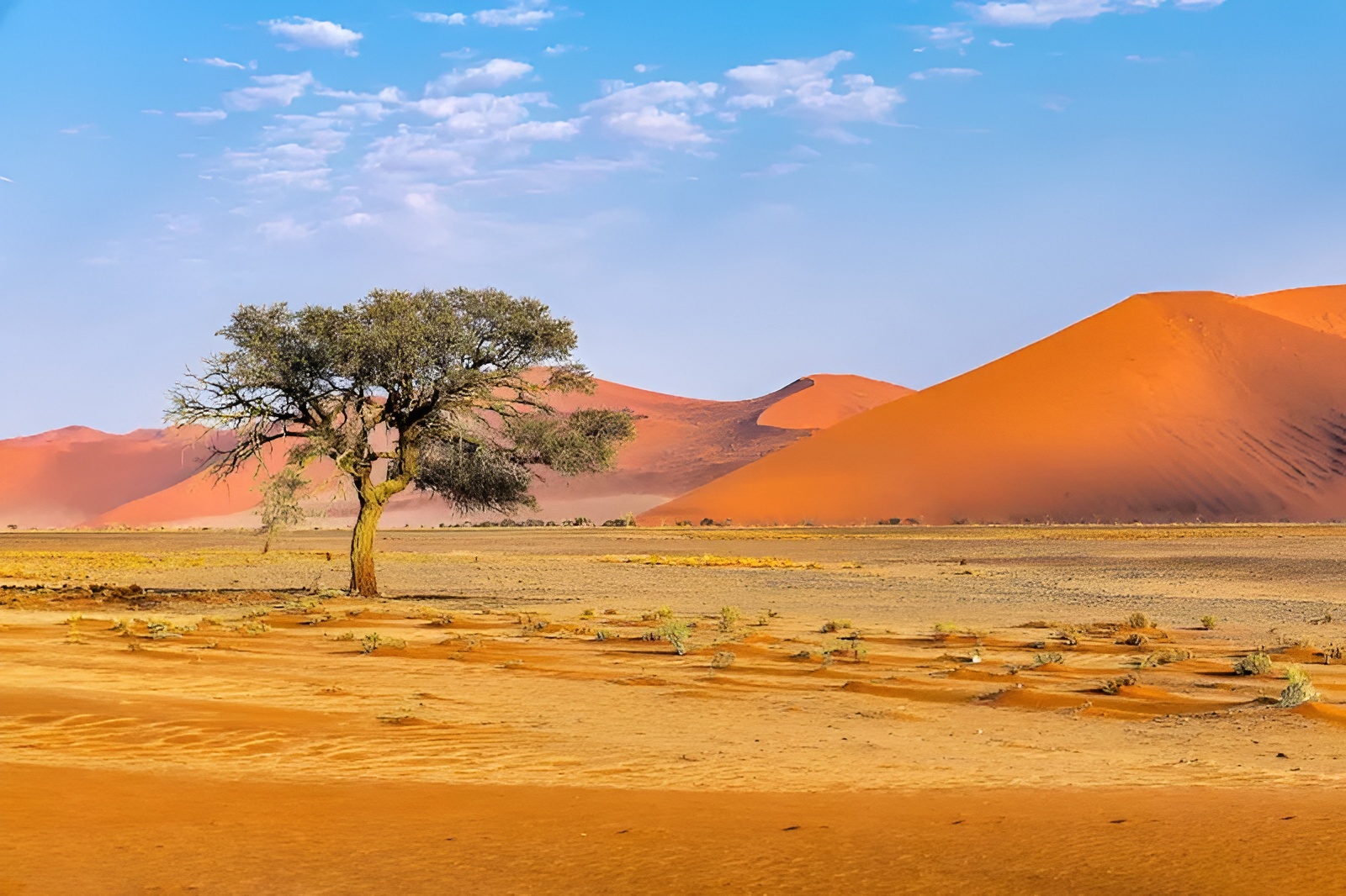 Ancient Namib Desert landscape in Namibia