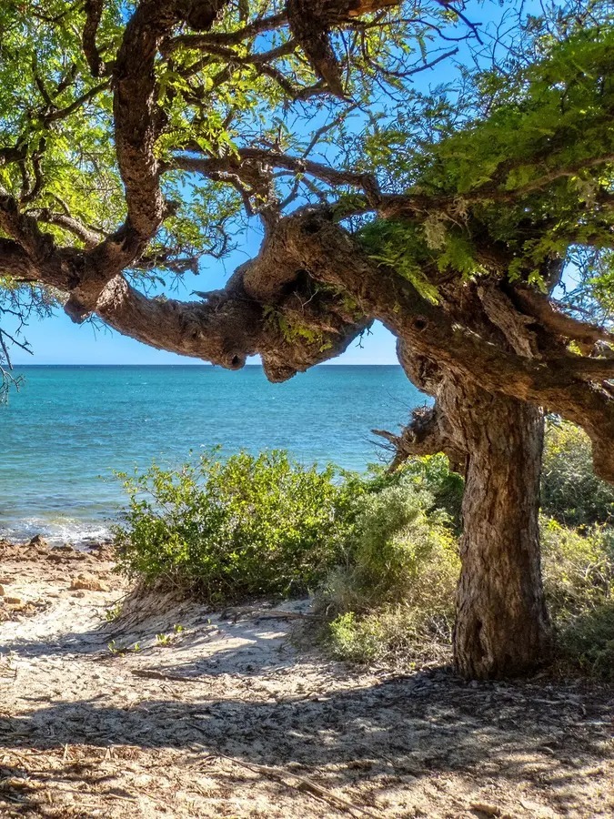 Coastal landscape in Mozambique