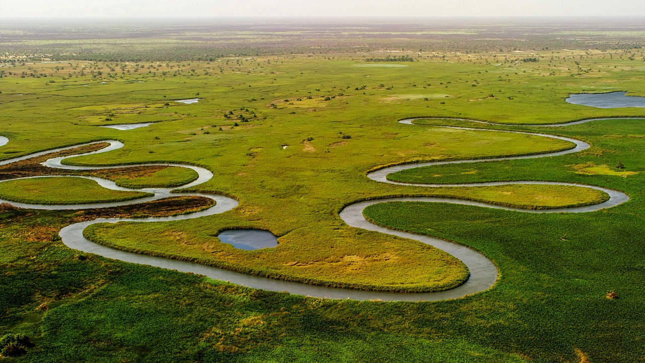 Okavango Delta wilderness in Botswana