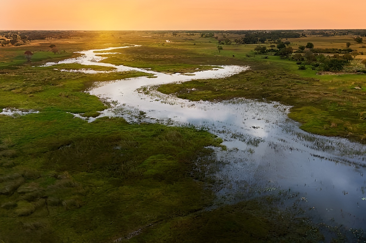 Okavango Delta wilderness in Botswana