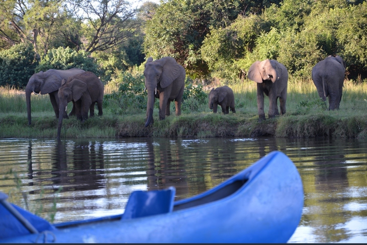Canoe safari on the Lower Zambezi River in Zambia