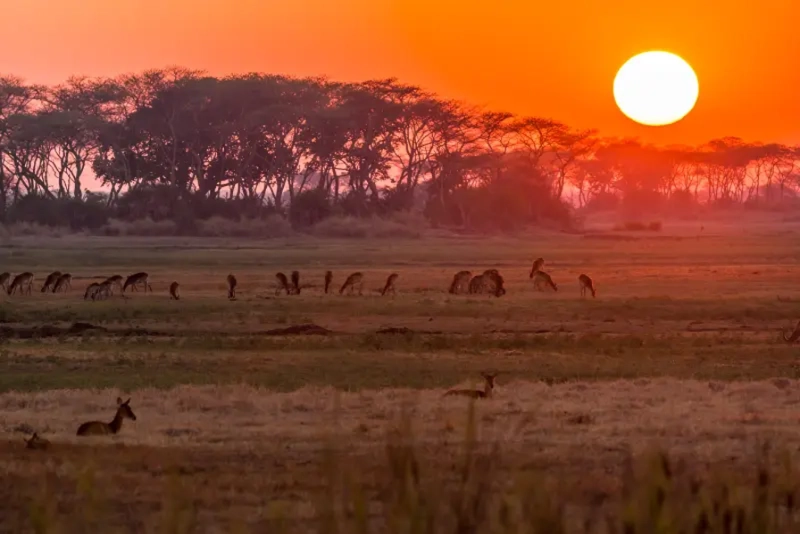 The vast Busanga Plains of Kafue National Park in Zambia