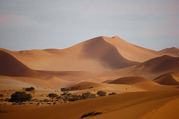 Sand dunes of the Namib Desert in Namibia
