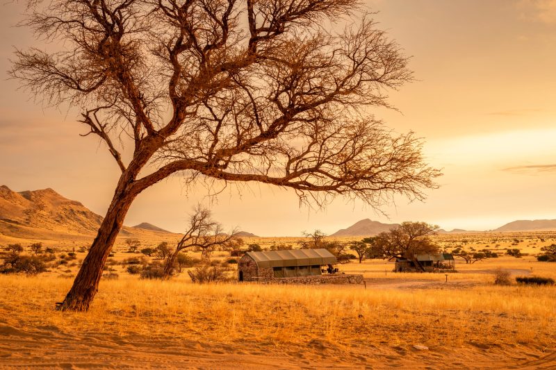 Small safari camp in a remote African wilderness setting