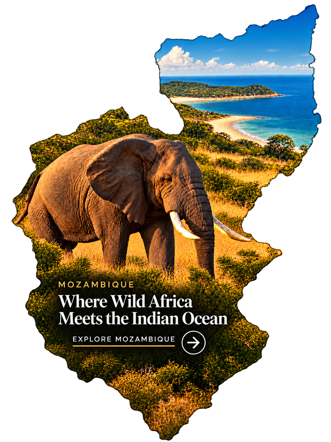 Mozambique safari destination