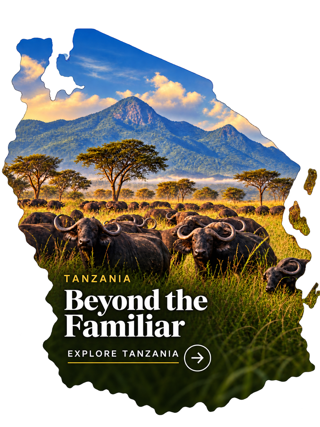 Tanzania safari destination
