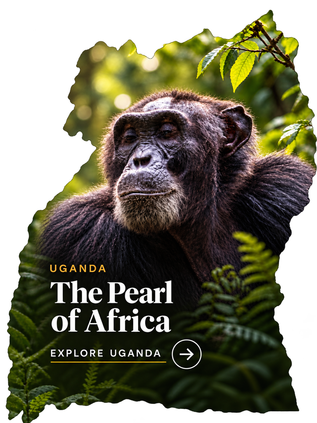 Uganda safari destination
