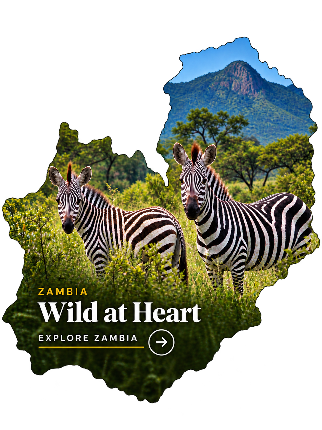 Zambia safari destination