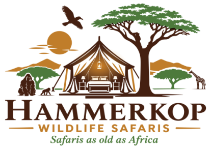 Hammerkop Wildlife Safaris