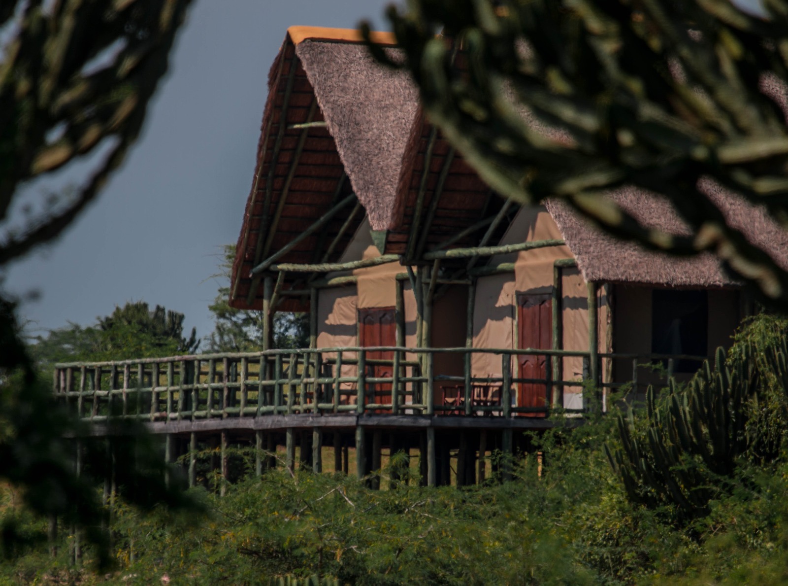 Safari guide and travellers in the African wilderness
